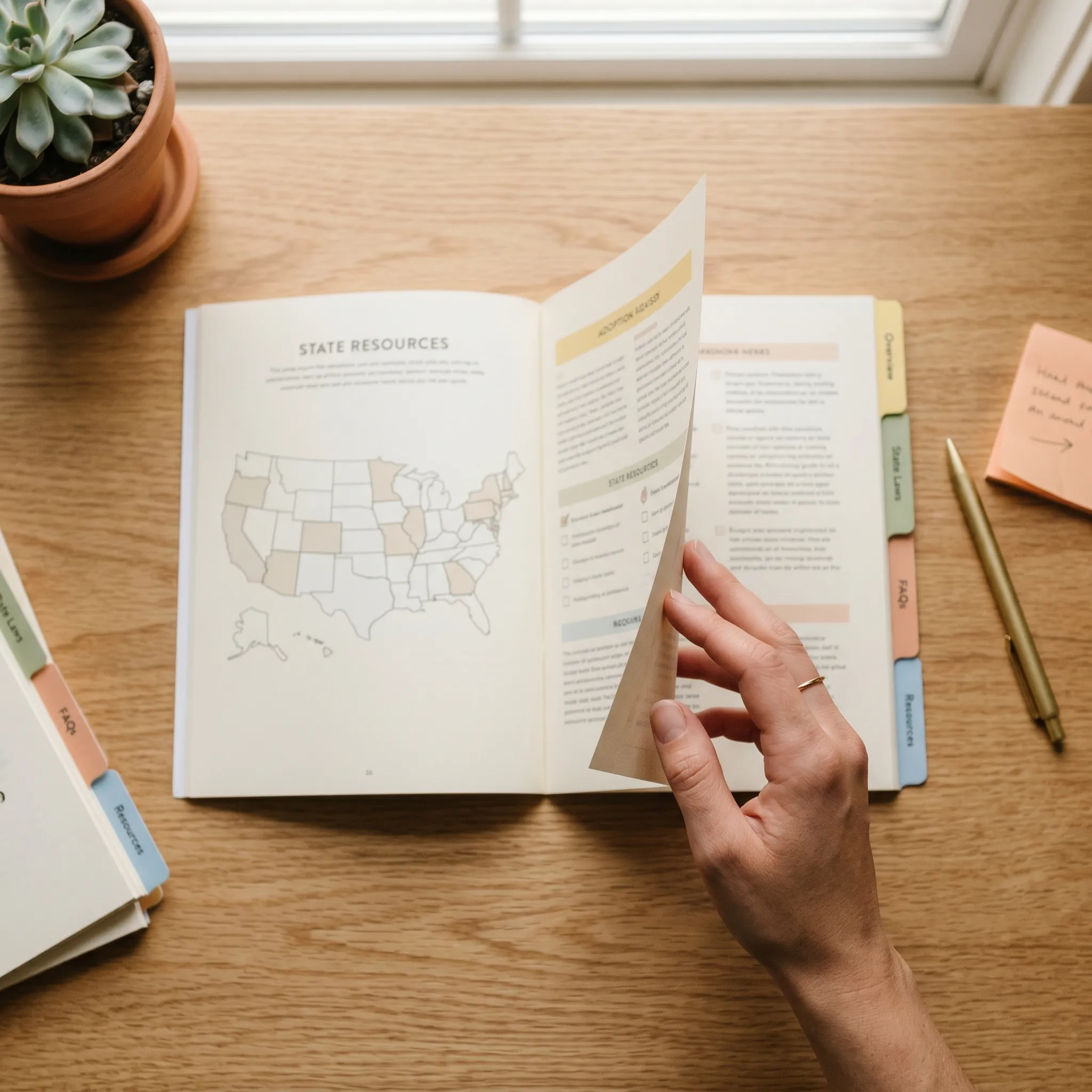 How to use these state-by-state adoption guides