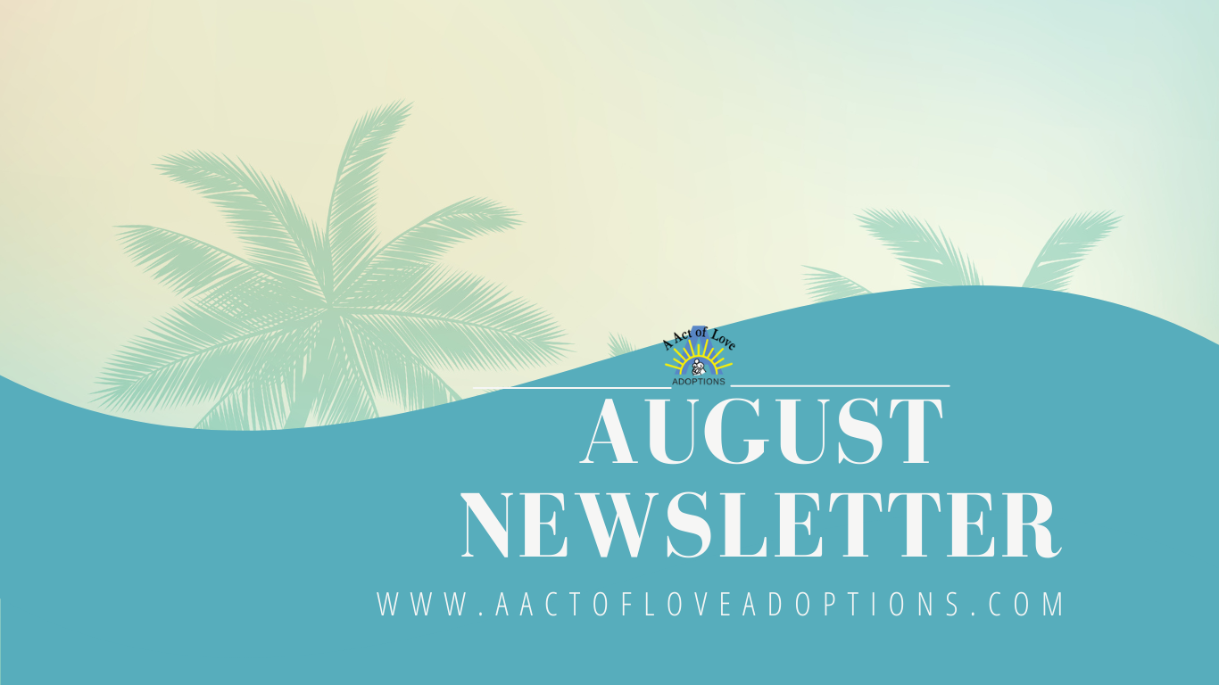 Boost Autumn November Newsletter Email Header (Website)